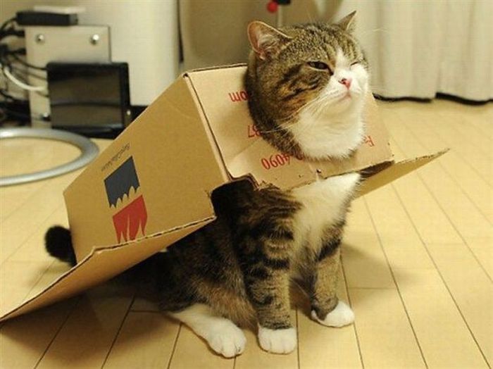 ordoro-product-kitting-cat